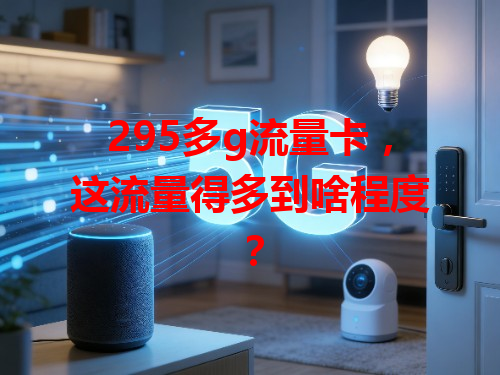 295多g流量卡，这流量得多到啥程度？