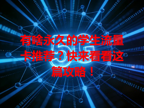 有啥永久的学生流量卡推荐？快来看看这篇攻略！