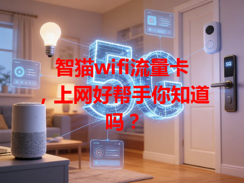 智猫wifi流量卡，上网好帮手你知道吗？
