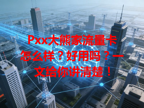 Pxx大熊家流量卡怎么样？好用吗？一文给你讲清楚！