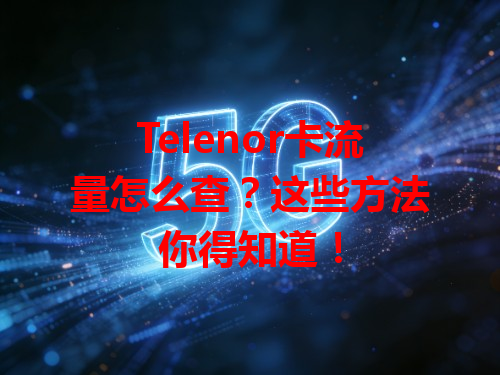Telenor卡流量怎么查？这些方法你得知道！