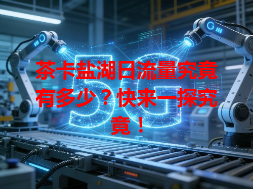 茶卡盐湖日流量究竟有多少？快来一探究竟！