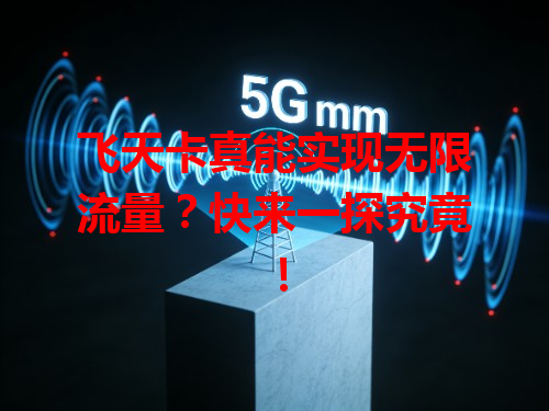 飞天卡真能实现无限流量？快来一探究竟！