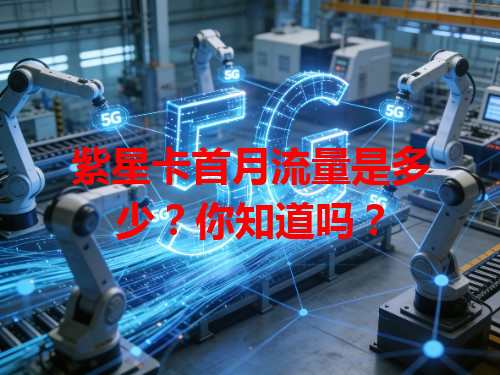 紫星卡首月流量是多少？你知道吗？