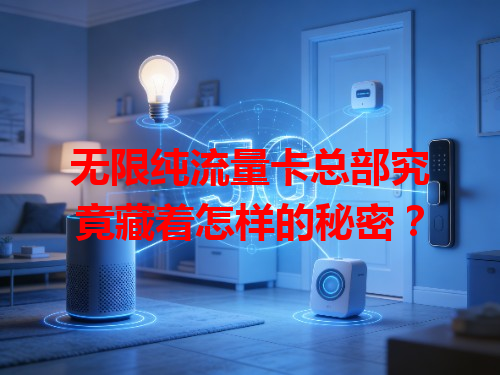 无限纯流量卡总部究竟藏着怎样的秘密？