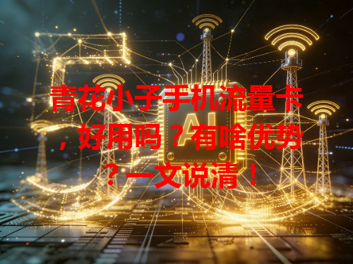 青花小子手机流量卡，好用吗？有啥优势？一文说清！