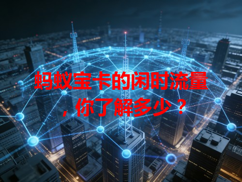 蚂蚁宝卡的闲时流量，你了解多少？