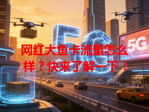 网红大鱼卡流量怎么样？快来了解一下！
