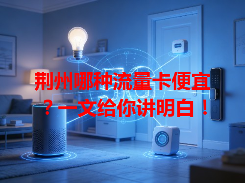 荆州哪种流量卡便宜？一文给你讲明白！