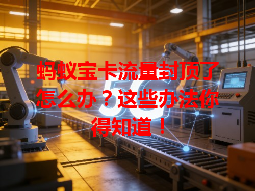 蚂蚁宝卡流量封顶了怎么办？这些办法你得知道！