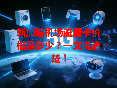 新加坡机场流量卡价格是多少？一文说清楚！