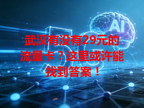 武汉有没有29元的流量卡？这里或许能找到答案！