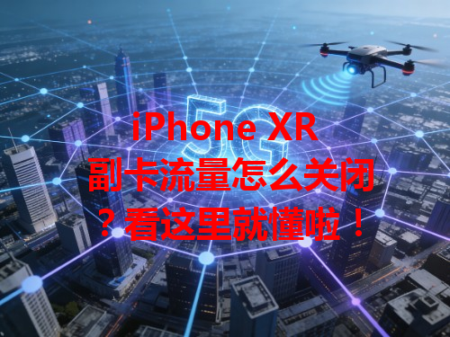 iPhone XR 副卡流量怎么关闭？看这里就懂啦！