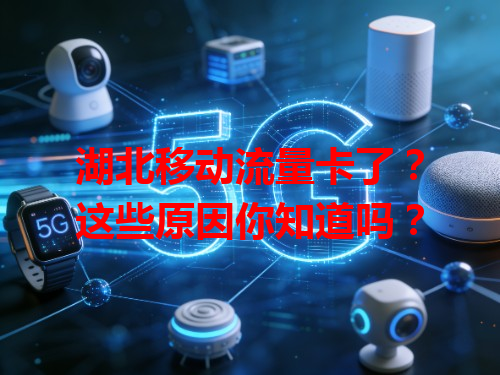 湖北移动流量卡了？这些原因你知道吗？