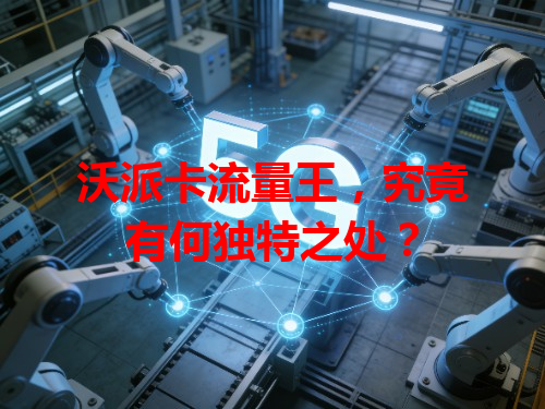 沃派卡流量王，究竟有何独特之处？