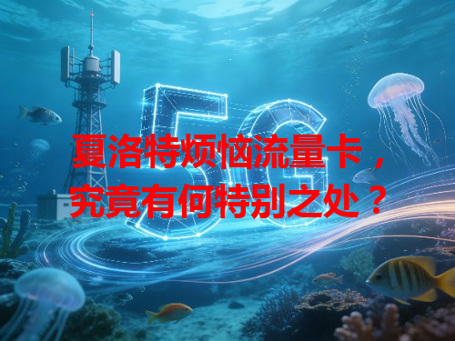 夏洛特烦恼流量卡，究竟有何特别之处？