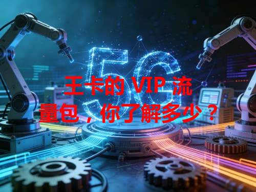 王卡的 VIP 流量包，你了解多少？