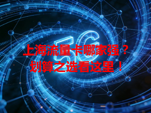 上海流量卡哪家强？划算之选看这里！