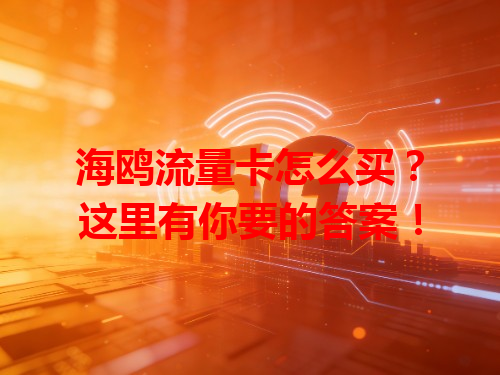 海鸥流量卡怎么买？这里有你要的答案！