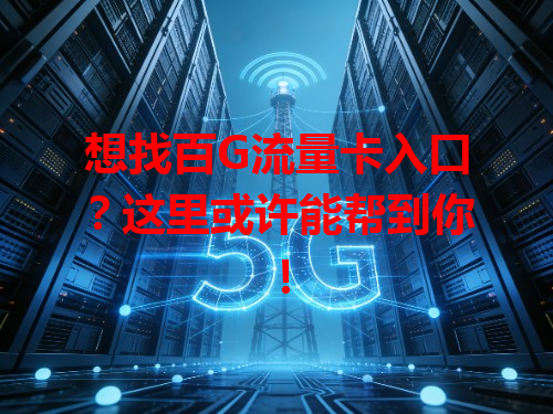 想找百G流量卡入口？这里或许能帮到你！