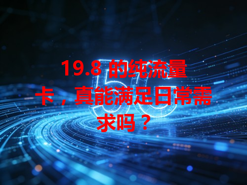 19.8 的纯流量卡，真能满足日常需求吗？