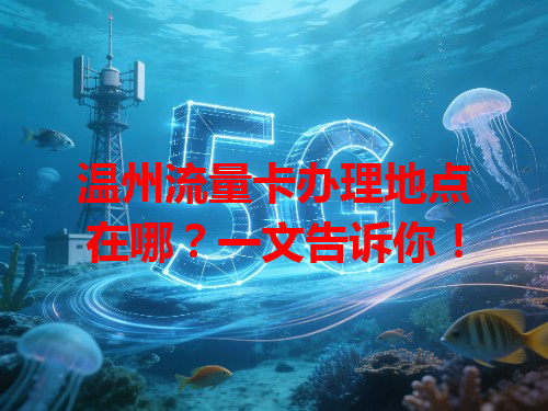 温州流量卡办理地点在哪？一文告诉你！