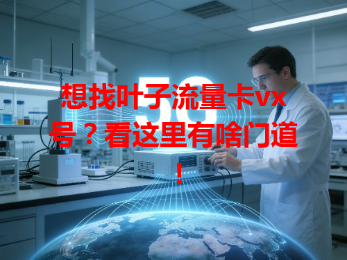想找叶子流量卡vx号？看这里有啥门道！
