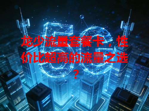 龙少流量套餐卡，性价比超高的流量之选？