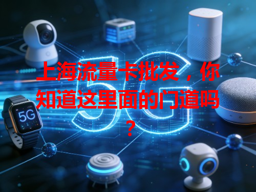 上海流量卡批发，你知道这里面的门道吗？
