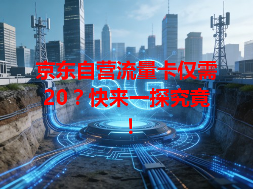 京东自营流量卡仅需20？快来一探究竟！