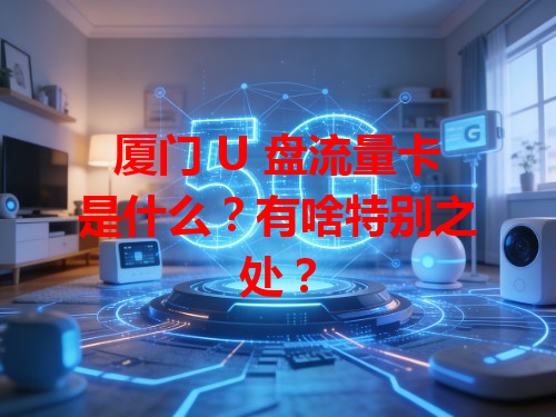 厦门 U 盘流量卡是什么？有啥特别之处？
