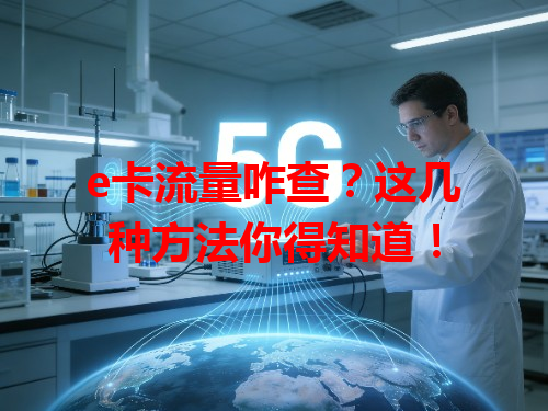 e卡流量咋查？这几种方法你得知道！