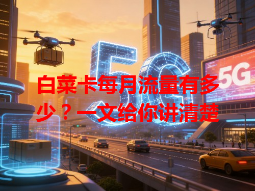 白菜卡每月流量有多少？一文给你讲清楚