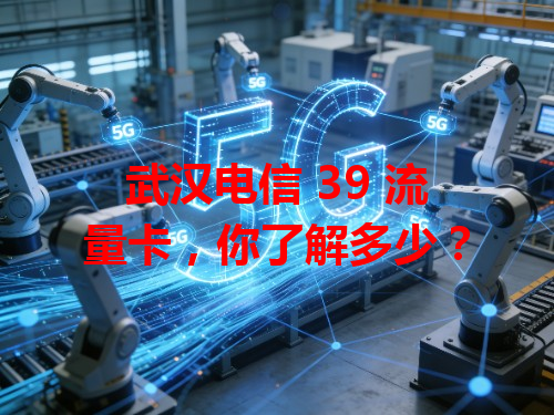 武汉电信 39 流量卡，你了解多少？