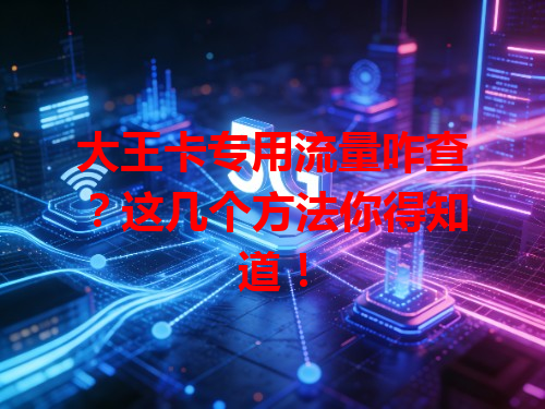 大王卡专用流量咋查？这几个方法你得知道！