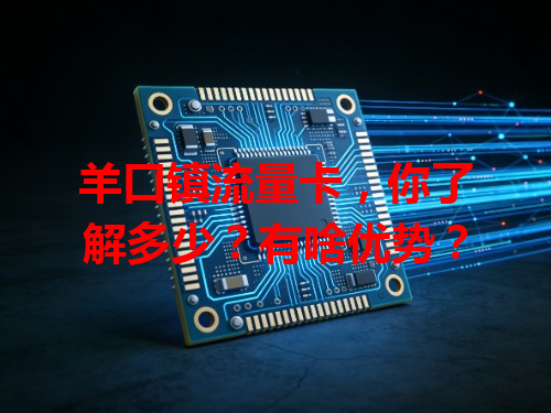 羊口镇流量卡，你了解多少？有啥优势？