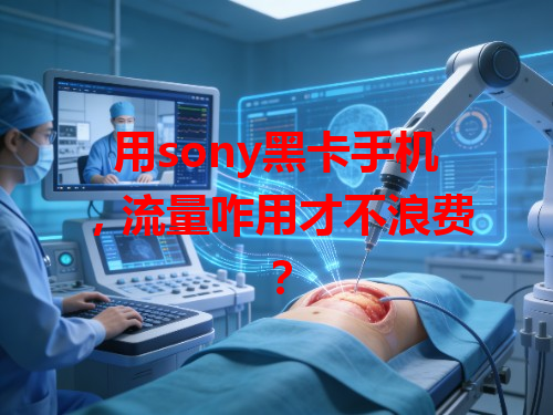 用sony黑卡手机，流量咋用才不浪费？