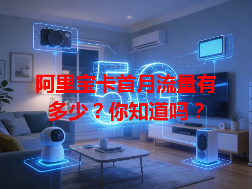阿里宝卡首月流量有多少？你知道吗？