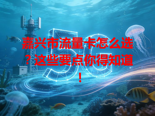 嘉兴市流量卡怎么选？这些要点你得知道！