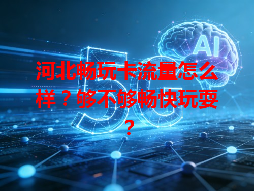 河北畅玩卡流量怎么样？够不够畅快玩耍？
