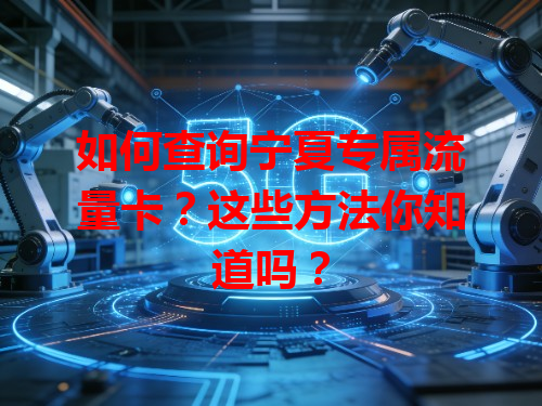 如何查询宁夏专属流量卡？这些方法你知道吗？