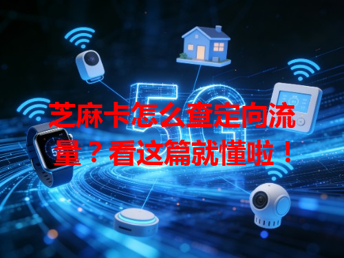 芝麻卡怎么查定向流量？看这篇就懂啦！