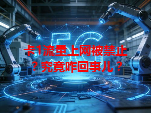 卡1流量上网被禁止？究竟咋回事儿？