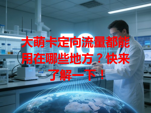 大萌卡定向流量都能用在哪些地方？快来了解一下！