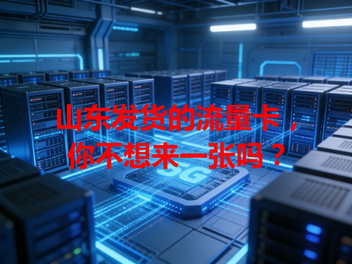 山东发货的流量卡，你不想来一张吗？