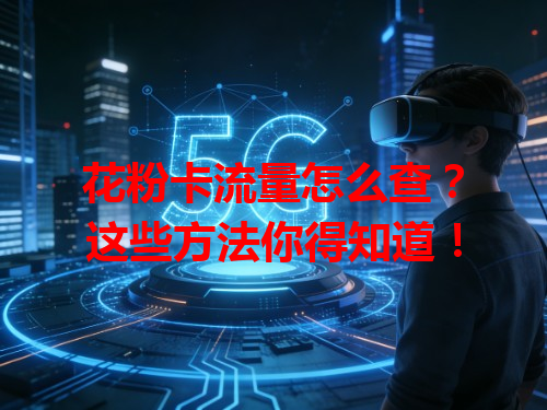 花粉卡流量怎么查？这些方法你得知道！