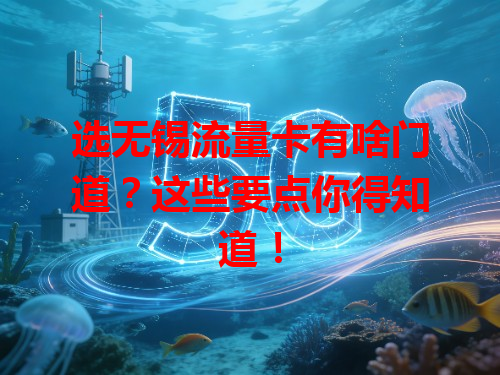 选无锡流量卡有啥门道？这些要点你得知道！