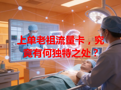 上单老祖流量卡,究竟有何独特之处?