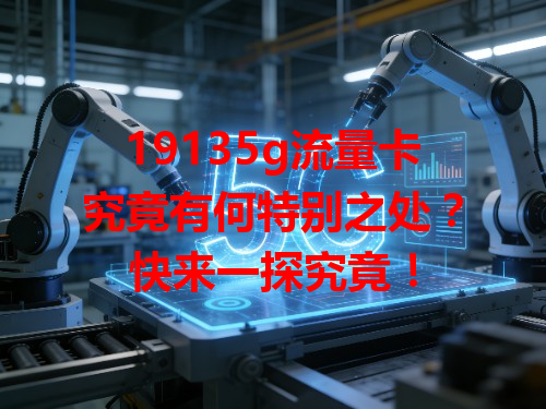 19135g流量卡究竟有何特别之处？快来一探究竟！
