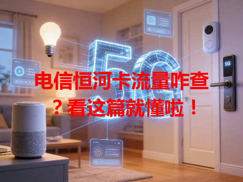 电信恒河卡流量咋查？看这篇就懂啦！